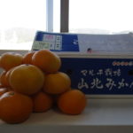 2020秋♪高知倉庫からの季節のお便り♪山北みかん♪