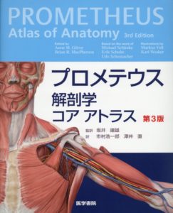 医学書 プロメテウス解剖学アトラスシリーズの概要 買取情報を紹介