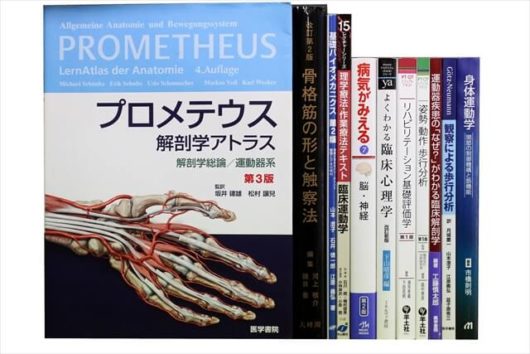 プロメテウス解剖学アトラス 解剖学総論/運動器系 第3版
